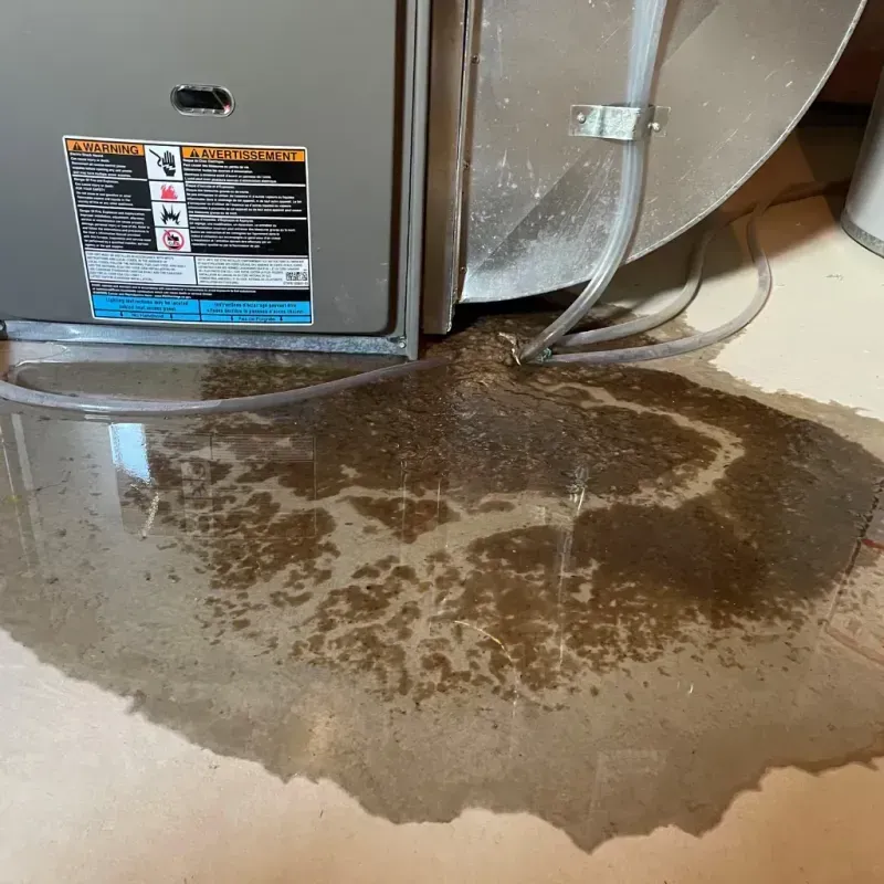 Appliance Leak Cleanup in Port Gibson, MS